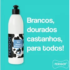 Shampoo Milk Branqueador 5 Litros Perigot Cães Gatos Pet Foto mini 2