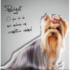 Shampoo Milk Branqueador 5 Litros Perigot Cães Gatos Pet Foto mini 4