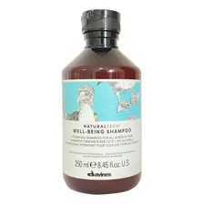 Shampoo Naturaltech Well Being 250ml Davines Foto mini 1