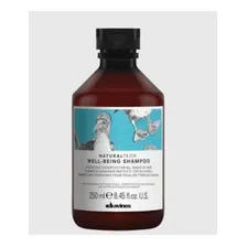 Shampoo Naturaltech Well Being 250ml Davines Foto mini 2