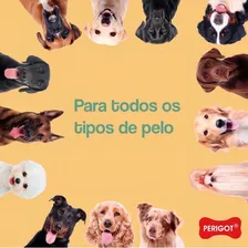 Shampoo Neutro Secagem Rápida 500 , Caes E Gatos, Perigot Foto mini 4