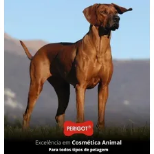 Shampoo Neutro Secagem Rápida 500 , Caes E Gatos, Perigot Foto mini  3