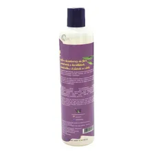 Shampoo Para Cabelos Orgânicos Com Glicerina Wb 500 Foto mini 2