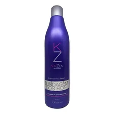 Shampoo Pos Selagem Blindagem Dos Fios Kaizen Profissional 1 Foto  mini 1