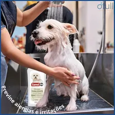 Shampoo Tonalizante De Pelos Claros 500ml Sanol Dog Foto mini  2