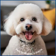 Shampoo Tonalizante De Pelos Claros 500ml Sanol Dog Foto mini  3