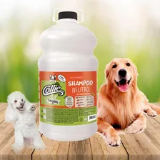 Shampoo Vegan Neutro 5 Litros - Collie Foto mini 2