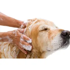 Shampoo Virbac Episoothe 250ml Foto mini 2