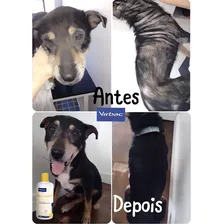 Shampoo Virbac Hexadene Spherulites Para Cães E Gatos -500ml Fragrância CLOREXIDINA Foto mini 4