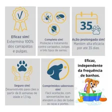 Simparic 40mg Para Cães 10,1 A 20kg - Kit Com 3 Comprimidos Foto mini 2