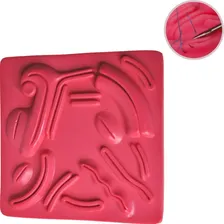 Simulação Sutura Laparoscópica Cirurgia Treino Ortho Pauher Foto  mini 1