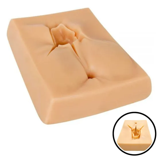 Simulador 3d Treinamento De Sutura Cirurgia Genital Feminina Foto 1