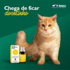 Sistema De Terapia Arenales Fator Diproto Zoo Pet 26g Foto mini 3