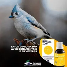 Sistema De Terapia Arenales Fator Diproto Zoo Pet 26g Foto mini 2