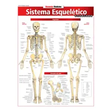 Sistema Esqueletico - Resumao Foto  mini 1