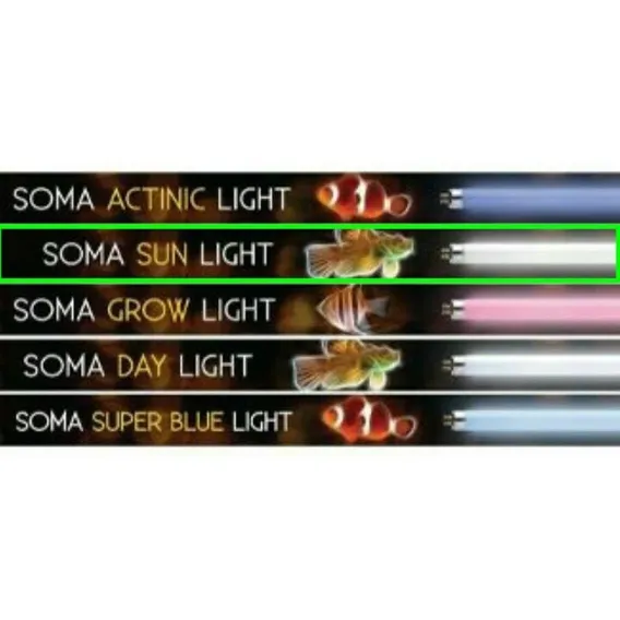Soma Lampada T5 Sun Light 10.000k 24w 56,3cm P/ Aquarios Foto 1