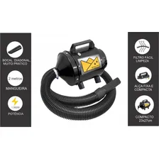 Soprador Secador 10. Pet Shop Banho E Tosa Profissional 110v Foto mini 2