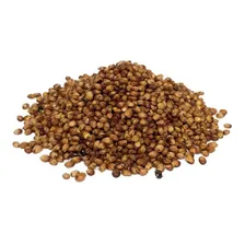 Sorgo Forrageiro Gigante Santa Elisa 250gr De Sementes Foto mini 2