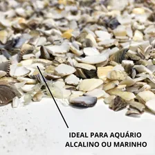 Substrato aquĆ”rio Aqua Pedras aragonita concha moĆda n2 alcalino 1kg Foto mini 2