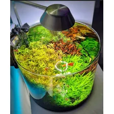 Substrato F茅rtil Amaz么nia 15kg - Mbreda Foto mini 4