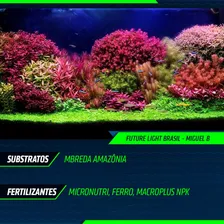 Substrato Fértil Amazônia 15kg - Mbreda Foto mini  3