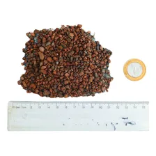 Substrato Fertil Aquario Plantado Aquascape 5kg Solomon Foto mini 3