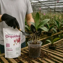 Substrato Para Orquídeas Mix - Casca Pinus Chip Coco Carvão Foto mini  2