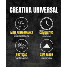 Suplemento Em Pó Universal Nutrition Aminoácidos Creatina Monohydrate Creatina Creatina Monohydrate Em Pote De 200ml Foto mini  3