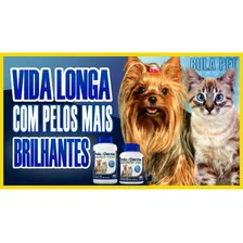 Suplemento Pelo & Derme 1500 (90g/60 Capsulas) - Vetnil Foto mini 3