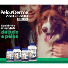 Suplemento Pelo & Derme 1500 (90g/60 Capsulas) - Vetnil Foto mini 2