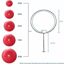 Suporte Para Bola Pilates Para Parede Branco Foto mini  2