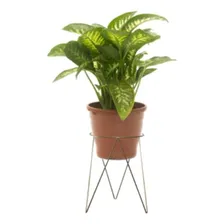 Suporte Para Vaso De Chão Tripé Ferro Jardinagem Ferro Cor Dourado-escuro Foto mini 2