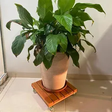 Suporte Vaso Em Madeira Quadrado Com Rodizio Gel 30x30cm Foto mini 2