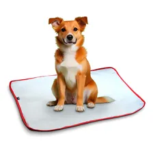 Tapete Higienico Para Cães 60x80 Kit 3 Impermeavel Lavavel Foto  mini 1
