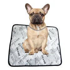 Tapete M Lavável Diário Canino Cor Jornal Desenho Canino Foto mini 1