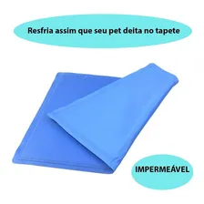 Tapete Refrescante Gelado 65 X 50 Caes E Gatos Foto mini 2