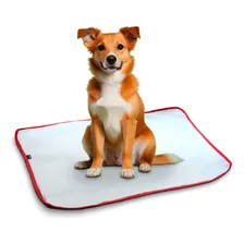 Tapete sanitário para cães JN Pet cachorro porte pequeno Sanitário absorvente ecológico Reutilizável durável urinar cor xixi canino anti-vazamento de 45cm x 45cmkit de 6 x 6 unidades Foto  mini 1