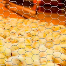 Tela Hexagonal Pinteiro Fio22 50x1,50m São Jorge Foto mini  2
