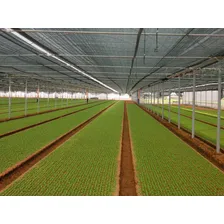 Tela Sombreamento 50% 3 X 6 Metros Toldo Sombrite Preta Foto mini 3