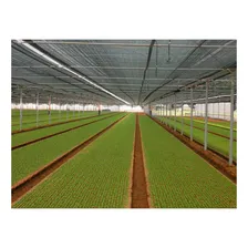 Tela Sombrite 50% 2 X 4 Metros Preta Foto mini 3