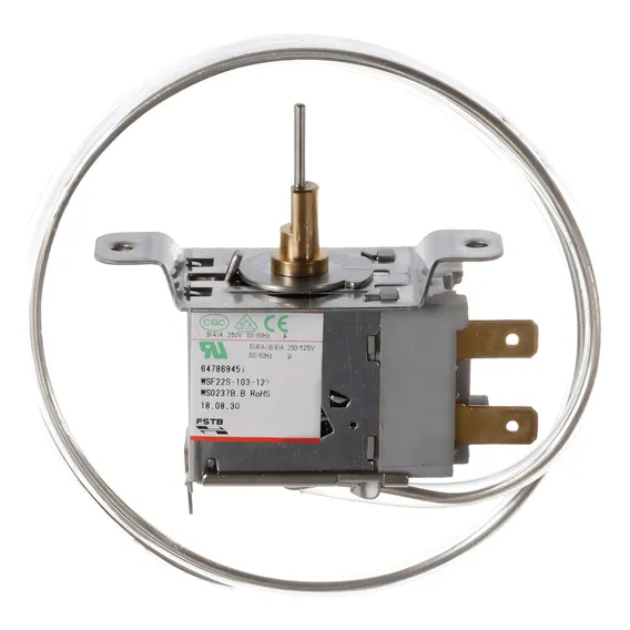 Termostato Tsv-001109 Rf Electrolux Rde30/re28a/rw35 6478694 Foto 1