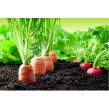 Terra Adubada Fortalecedora P/ Plantas Jardins Vegetal 3kg Foto mini 2