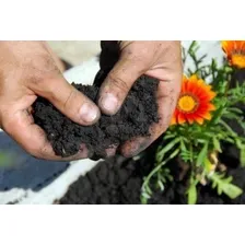 Terra Adubada Fortalecedora P/ Plantas Jardins Vegetal 3kg Foto mini 4