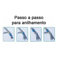 Terra dos PÔssaros anilhas fechadas com con marcação dourado 2mm 10 unidades Foto mini 2