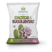 Terra para jardim substrato Cactos e suculentas Nutriplan Do 2l 2kg Foto mini 1
