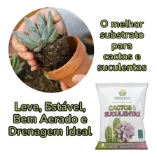 Terra para jardim substrato Cactos e suculentas Nutriplan Do 2l 2kg Foto mini 3