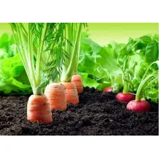 Terra Para Jardim Terra Vegetal Sj Do7l 2.5kg Foto mini  3