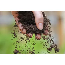 Terra Vegetal 10 Kg Foto mini 3