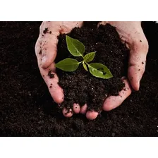 Terra Vegetal Adubada Para Plantas Vasos E Jardim 20kg Foto mini 3