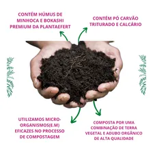 Terra Vegetal C/ Esterco De Gado, Galinha E Húmus 25kg Foto mini 4